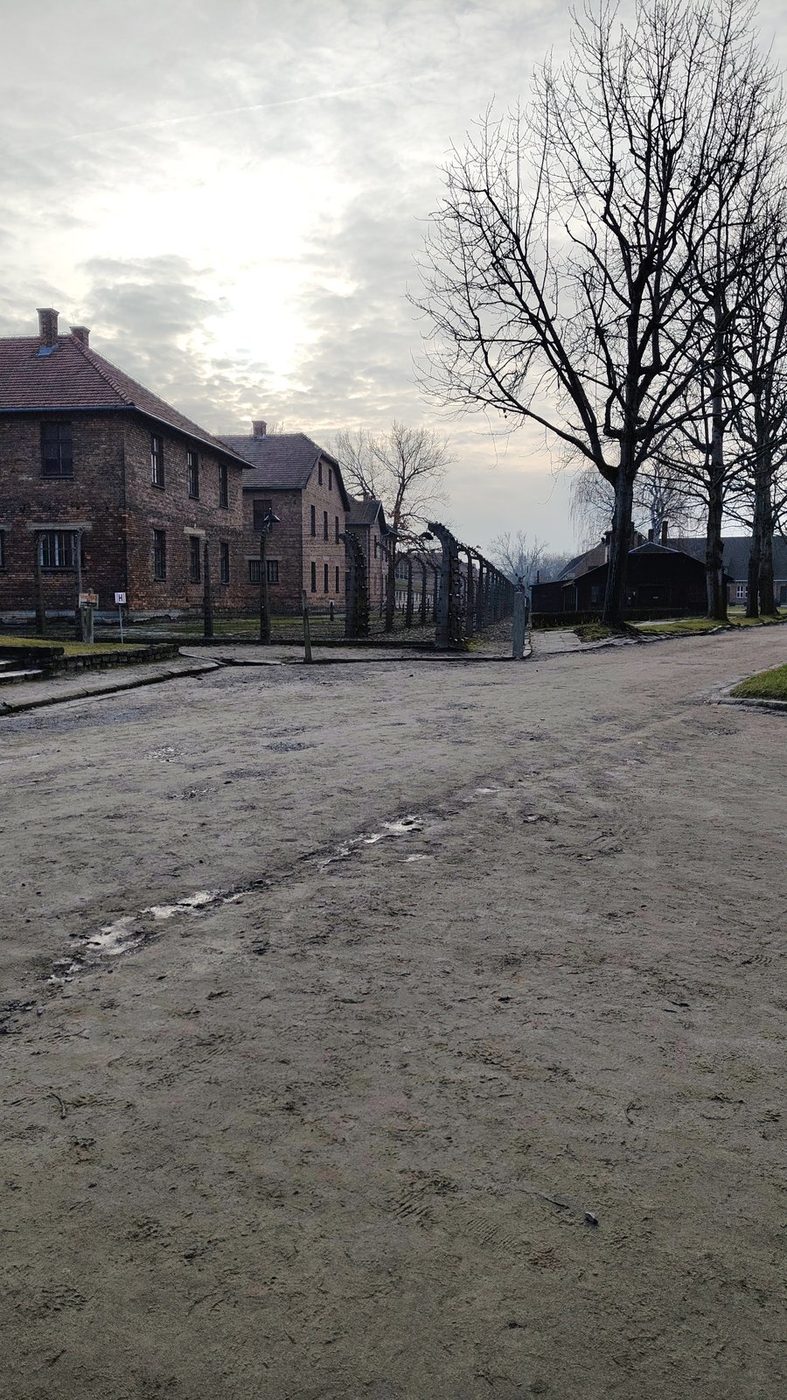 Il campo di Auschwitz
